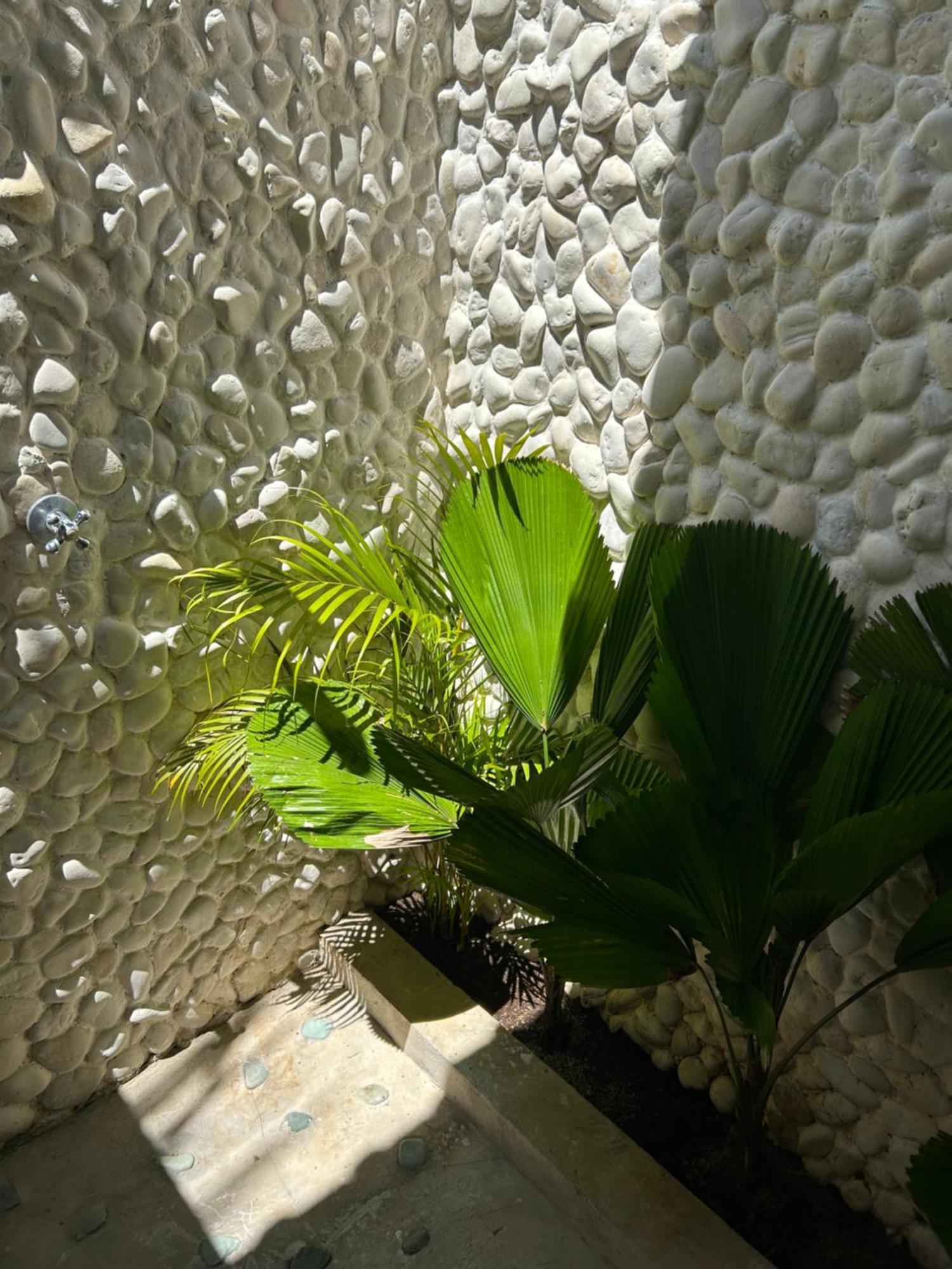 ウルワツ La Kreyiol Bed & Breakfast エクステリア 写真